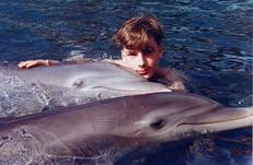 swim with dolphins 1
